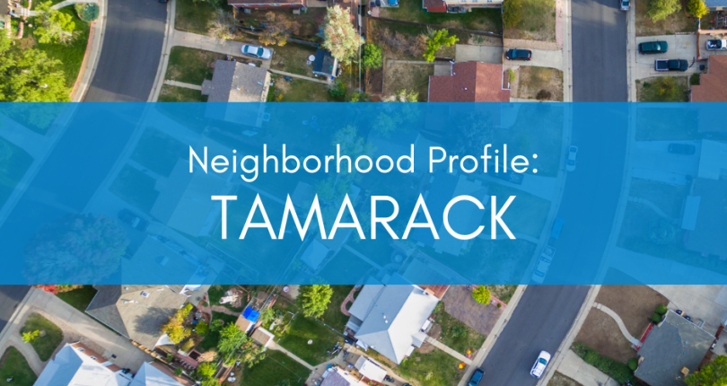Neighborhood Profile: Tamarack