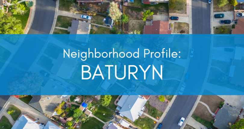 Neighborhood Profile: Baturyn